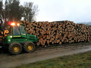 Holzvermarktung - Holzverkauf