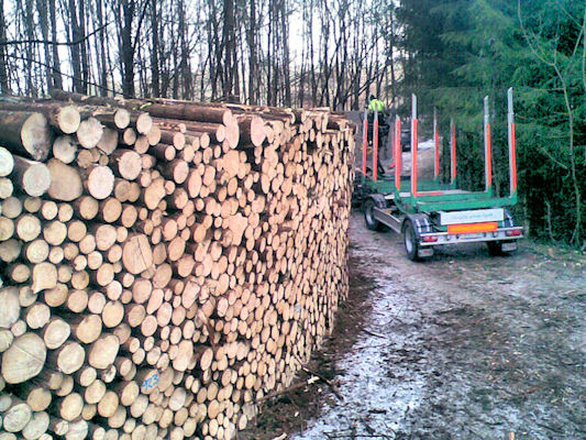 Holzvermarktung, Holzverkauf - VOLKtrans GmbH, 8254 Basadingen